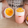 Manual Fruit Juicer